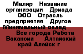 Маляр › Название организации ­ Дриада, ООО › Отрасль предприятия ­ Другое › Минимальный оклад ­ 18 000 - Все города Работа » Вакансии   . Алтайский край,Алейск г.